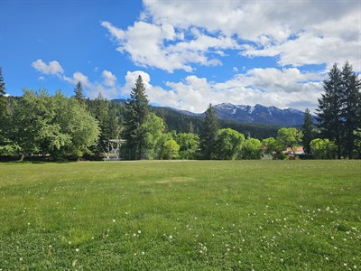 Dewis Park