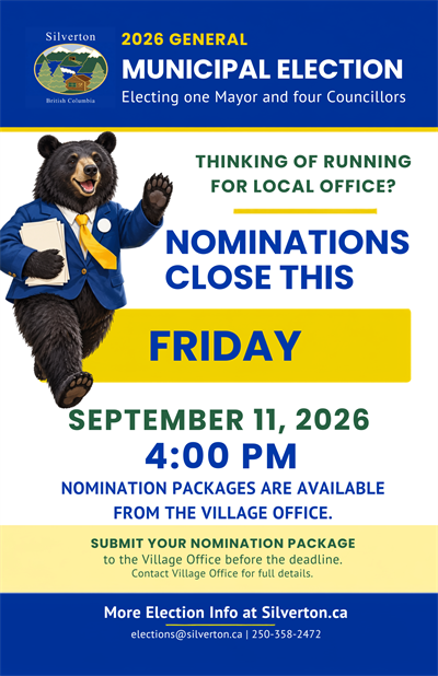 Thinking_of_running_for_local_office